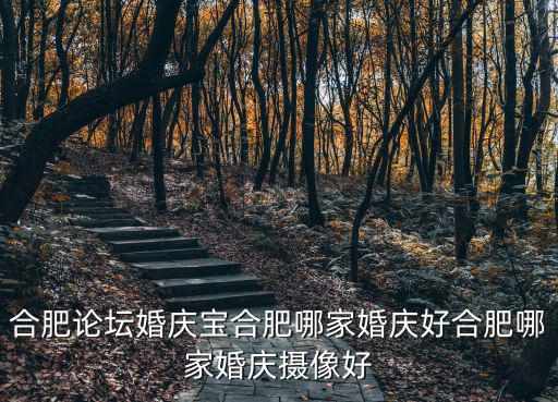 合肥論壇婚慶寶合肥哪家婚慶好合肥哪家婚慶攝像好
