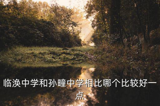 臨渙中學和孫疃中學相比哪個比較好一點