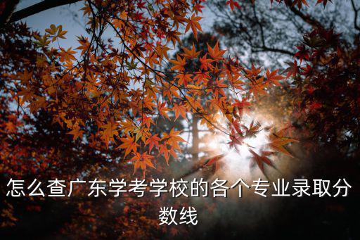 怎么查廣東學(xué)考學(xué)校的各個(gè)專業(yè)錄取分?jǐn)?shù)線