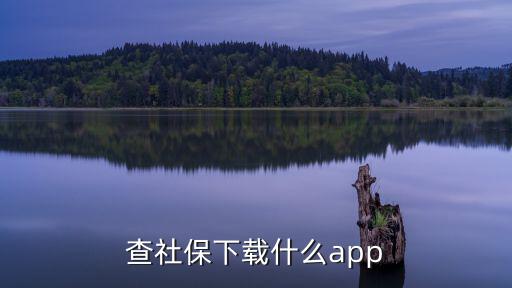 查社保下載什么app