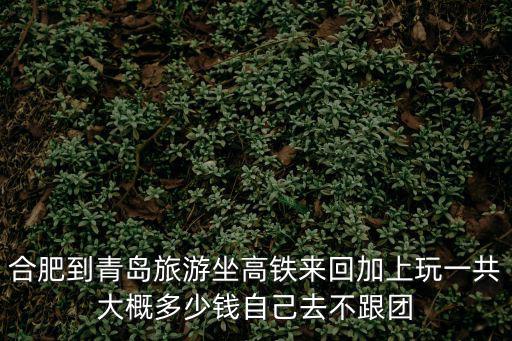 合肥到青島旅游坐高鐵來回加上玩一共大概多少錢自己去不跟團