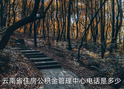 云南省住房公積金管理中心電話是多少
