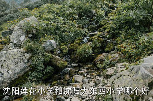 沈陽蓮花小學和沈陽大東四小學哪個好