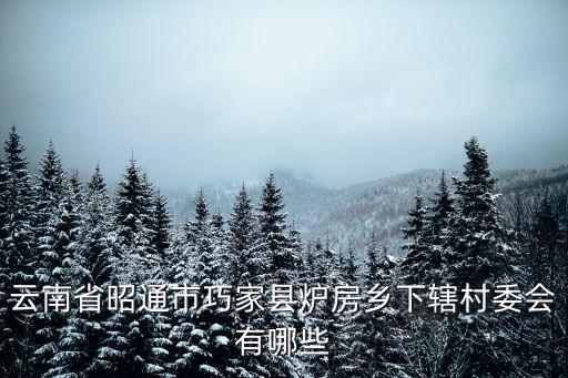 云南省昭通市巧家縣爐房鄉下轄村委會有哪些