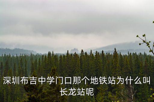深圳布吉中學門口那個地鐵站為什么叫長龍站呢