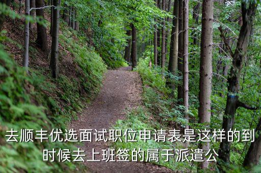 去順豐優(yōu)選面試職位申請表是這樣的到時候去上班簽的屬于派遣公