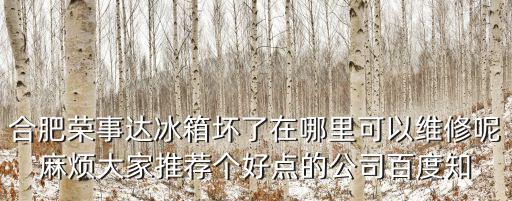 合肥家電維修，合肥市濱湖新區(qū)哪里有小家電維修