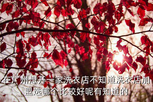 廣州特許連鎖加盟展，廣州市濟(jì)和堂連鎖藥房門店明細(xì)自營加盟店