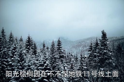 陽光棕櫚園在不不深地鐵11號線上面