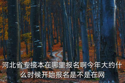 河北省專接本在哪里報(bào)名啊今年大約什么時(shí)候開始報(bào)名是不是在網(wǎng)
