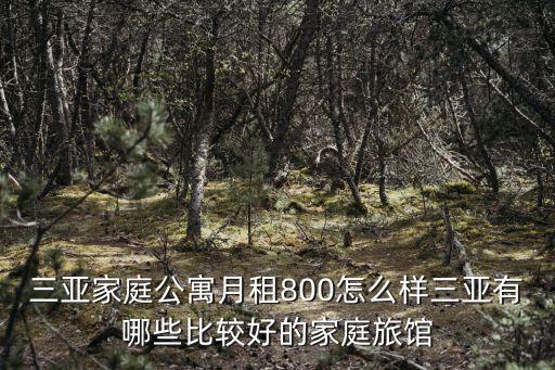 三亞家庭公寓月租800怎么樣三亞有哪些比較好的家庭旅館
