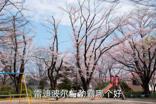 雷迪波爾與勁霸哪個(gè)好