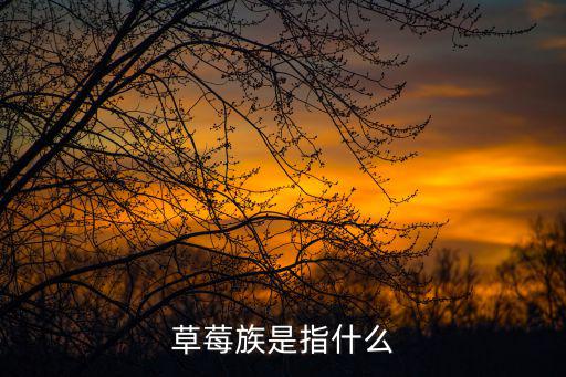 草莓族是指什么