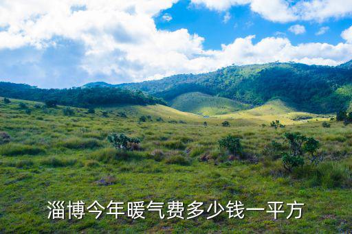 暖氣費(fèi)多少錢(qián)一平方，沈陽(yáng) 采暖費(fèi) 多少錢(qián)一平米
