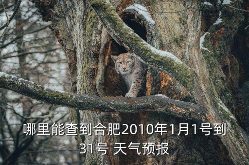 合肥歷史天氣，合肥歷史天氣記錄