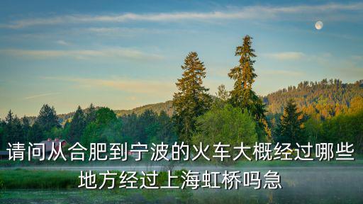合肥到寧波高鐵，請問從合肥到寧波的火車大概經過哪些地方經過上海虹橋嗎急