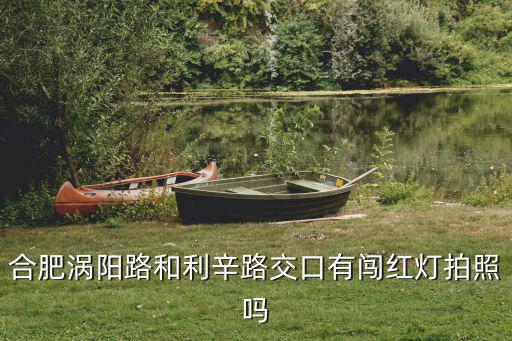 合肥渦陽路和利辛路交口有闖紅燈拍照嗎