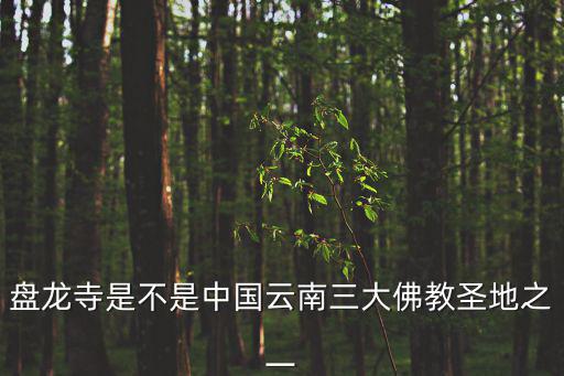 盤龍寺是不是中國云南三大佛教圣地之一