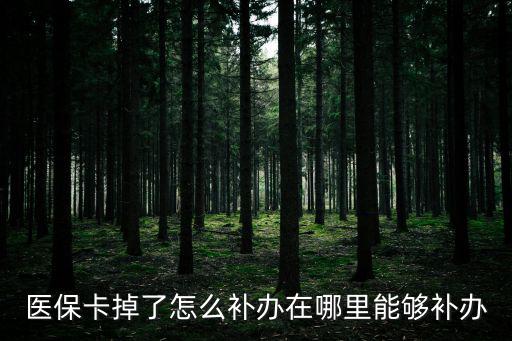 醫(yī)保卡在哪里補(bǔ)辦，醫(yī)保卡丟失請(qǐng)問(wèn)我去當(dāng)?shù)氐氖裁吹胤侥苎a(bǔ)辦