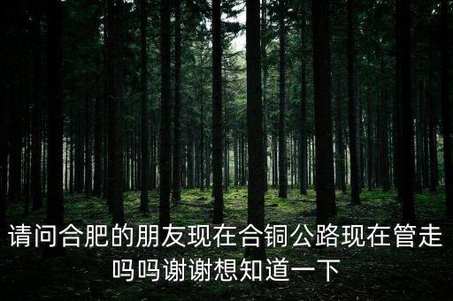 請問合肥的朋友現在合銅公路現在管走嗎嗎謝謝想知道一下