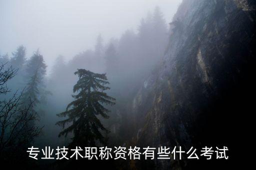 專業技術資格考試，衛生專業技術資格考試是干什么用的哪些人要考