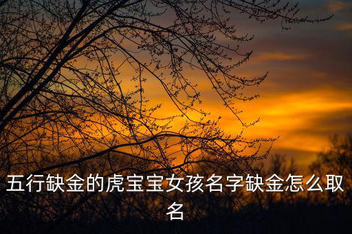 五行缺金的虎寶寶女孩名字缺金怎么取名
