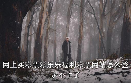 網上買彩票彩樂樂福利彩票網站怎么登錄不上了