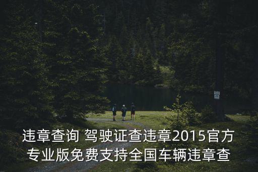 違章查詢 駕駛證查違章2015官方專業(yè)版免費(fèi)支持全國(guó)車輛違章查