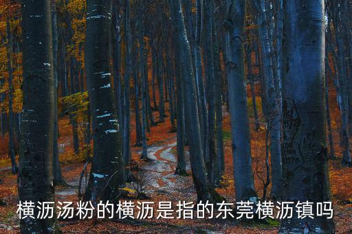 橫瀝湯粉的橫瀝是指的東莞橫瀝鎮嗎