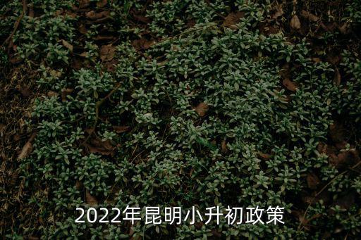 2022年昆明小升初政策