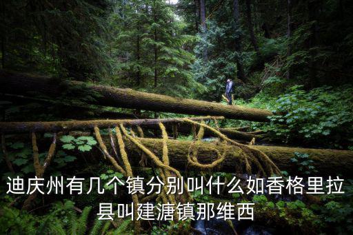 迪慶州有幾個鎮分別叫什么如香格里拉縣叫建溏鎮那維西