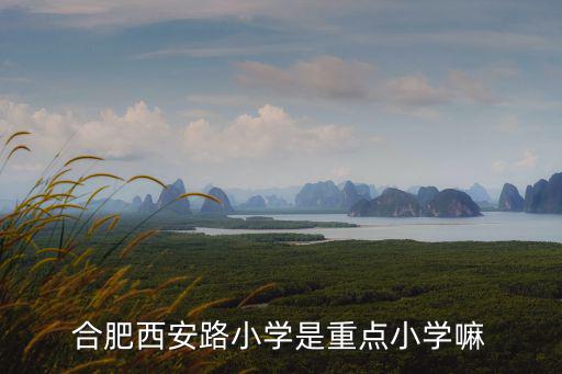 合肥西安路小學是重點小學嘛