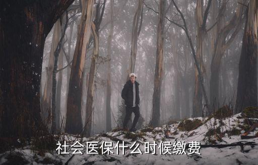 社會醫(yī)保什么時候繳費