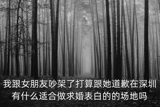 我跟女朋友吵架了打算跟她道歉在深圳有什么適合做求婚表白的的場地嗎