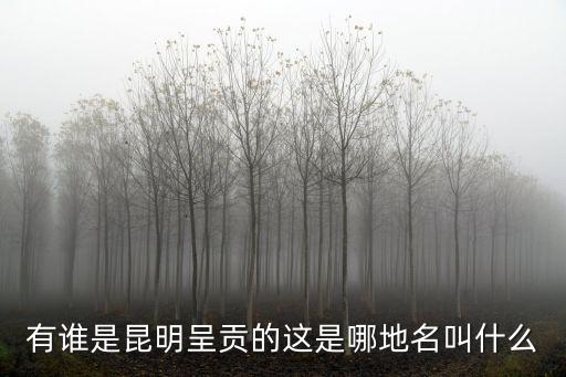 有誰是昆明呈貢的這是哪地名叫什么