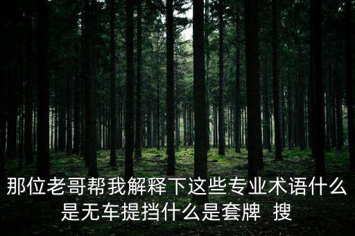 套牌車是什么意思，那位老哥幫我解釋下這些專業(yè)術(shù)語(yǔ)什么是無(wú)車提擋什么是套牌  搜