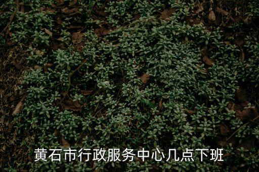 黃石市行政服務中心幾點下班
