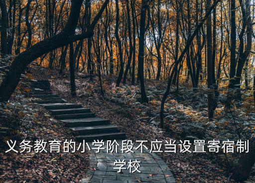 義務教育的小學階段不應當設置寄宿制學校