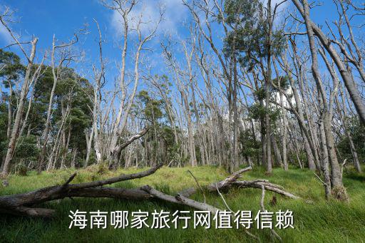 海南哪家旅行網值得信賴