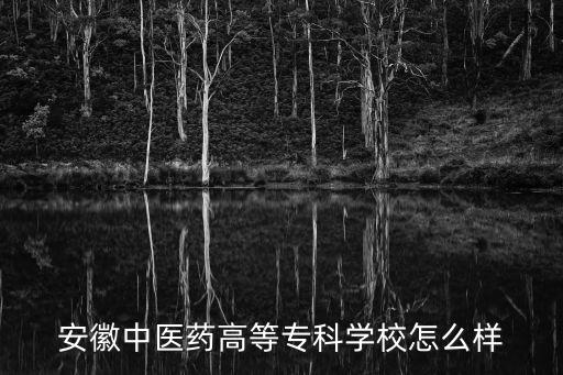 安徽中醫藥高等?？茖W校怎么樣