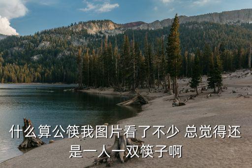 什么算公筷我圖片看了不少 總覺得還是一人一雙筷子啊