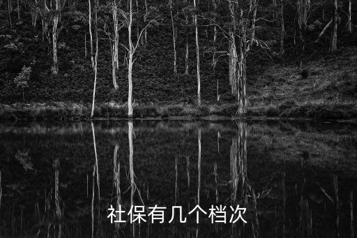 社保有幾個檔次