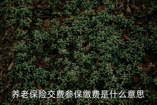 養老保險交費參保繳費是什么意思
