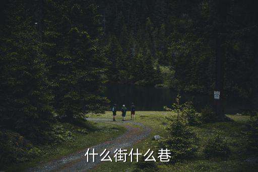 什么街什么巷