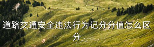 道路交通安全違法行為記分分值怎么區分
