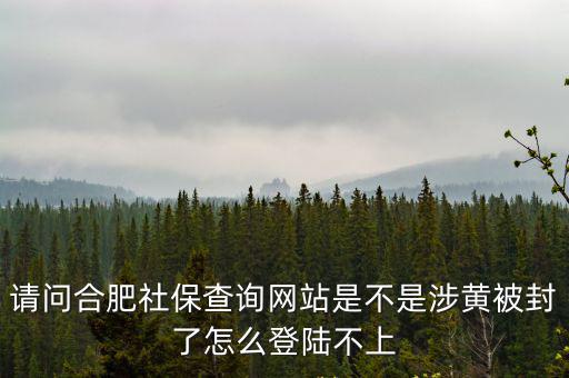 合肥社保個人查詢入口，請問有誰知道合肥社保局的網址