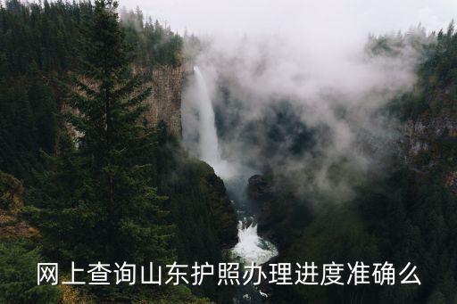 網(wǎng)上查詢山東護照辦理進度準確么