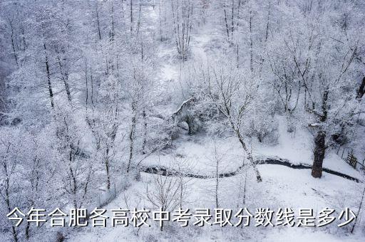 合肥中考錄取查詢，今年合肥各高校中考錄取分數線是多少