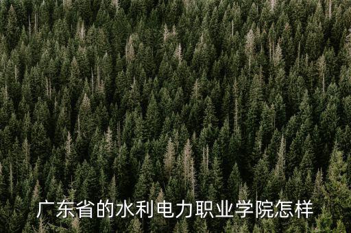 廣東省的水利電力職業學院怎樣