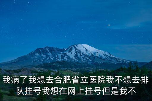 我病了我想去合肥省立醫院我不想去排隊掛號我想在網上掛號但是我不
